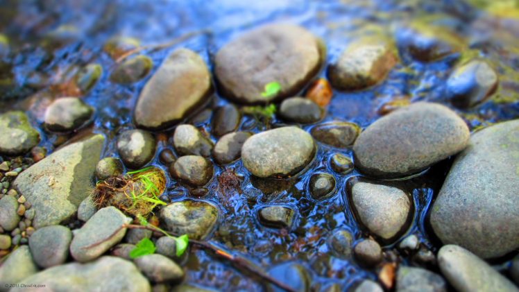 pond, Rocks, Nature HD Wallpaper Desktop Background