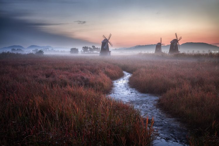 nature, Mist, Landscape, Windmill HD Wallpaper Desktop Background