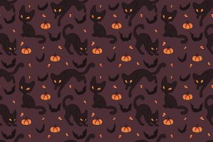 Halloween, Black cats, Pumpkin