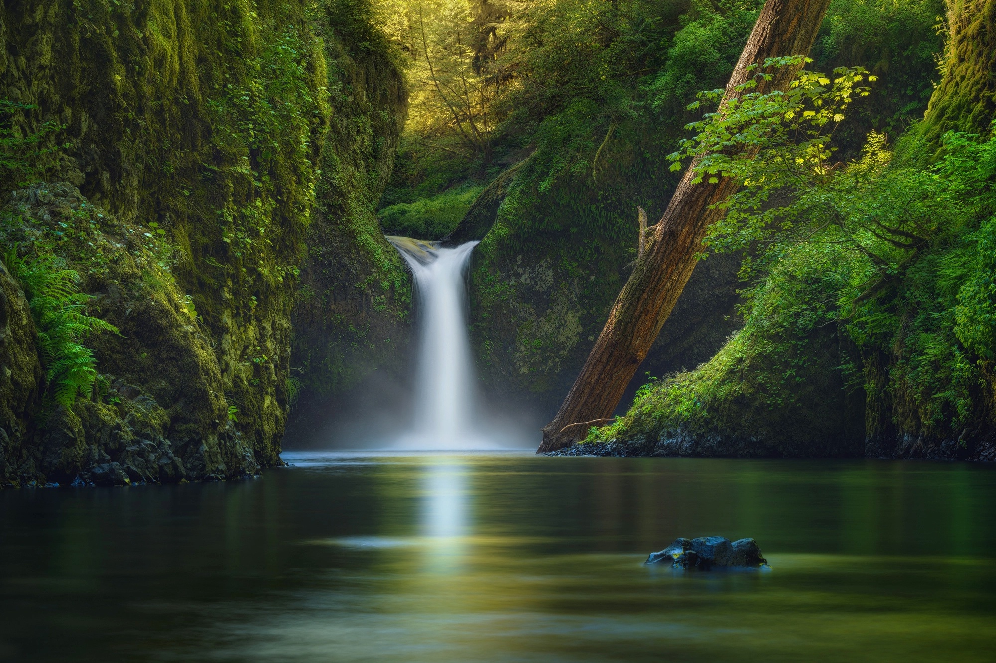 water, Green, Nature, Waterfall Wallpapers HD / Desktop and Mobile