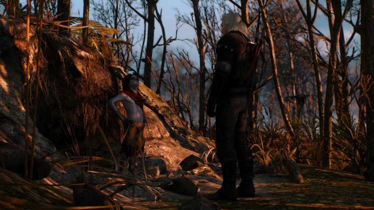 Geralt of Rivia, The Witcher 3: Wild Hunt HD Wallpaper Desktop Background