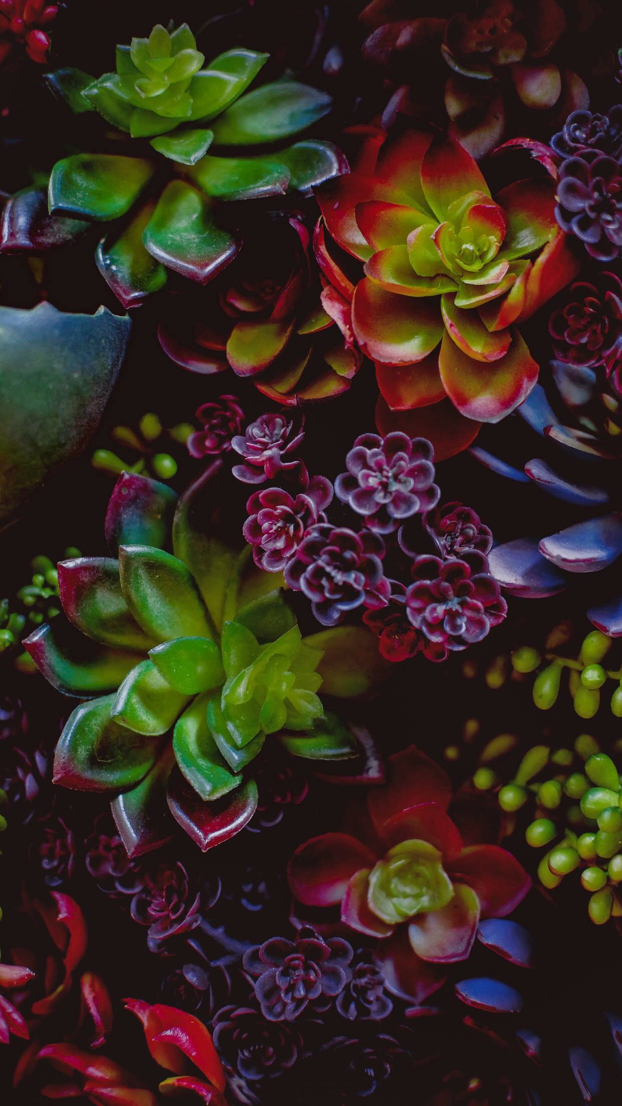 vertical, Portrait display Wallpaper