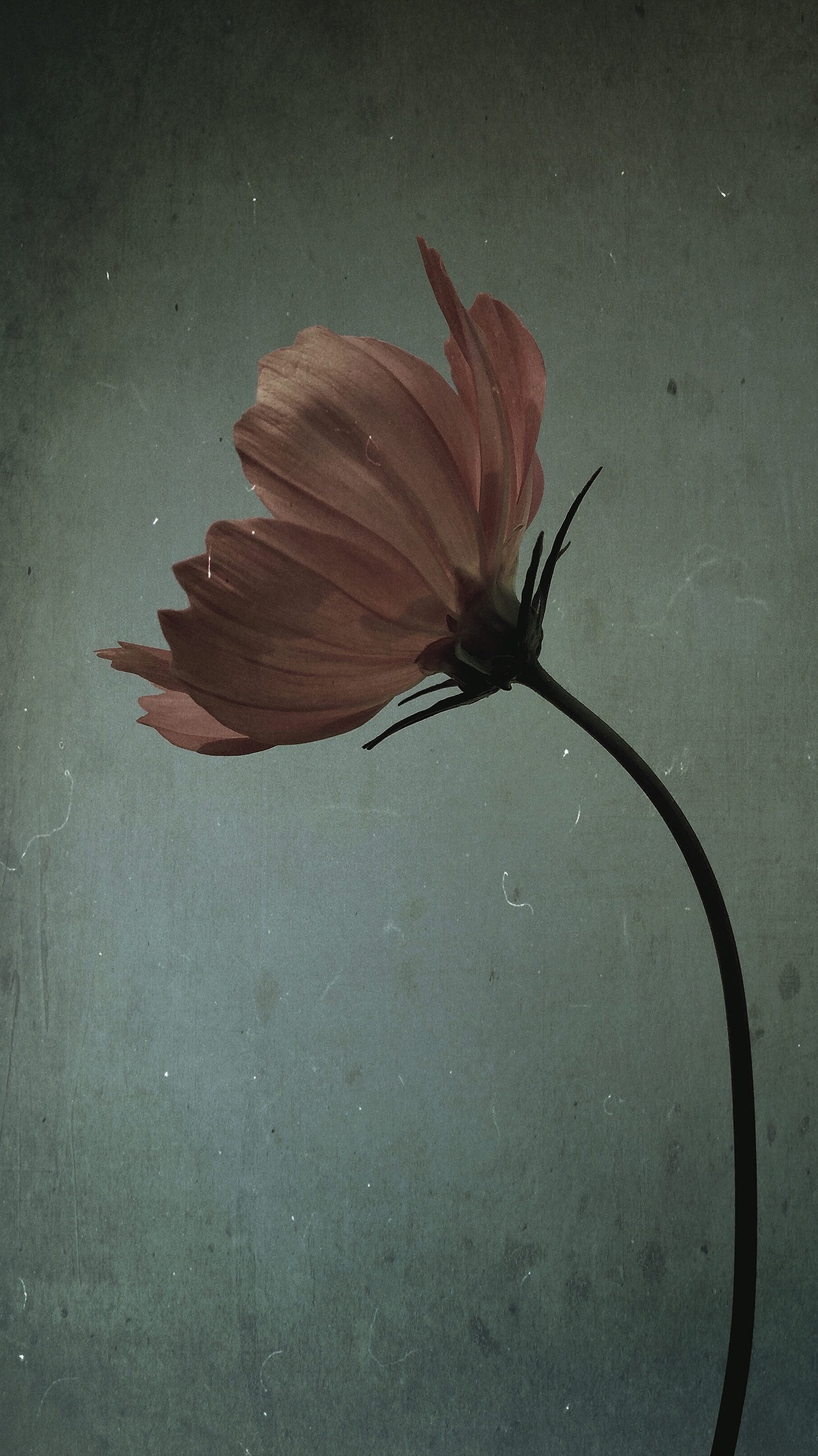 portrait display, Vertical, Landscape Wallpaper