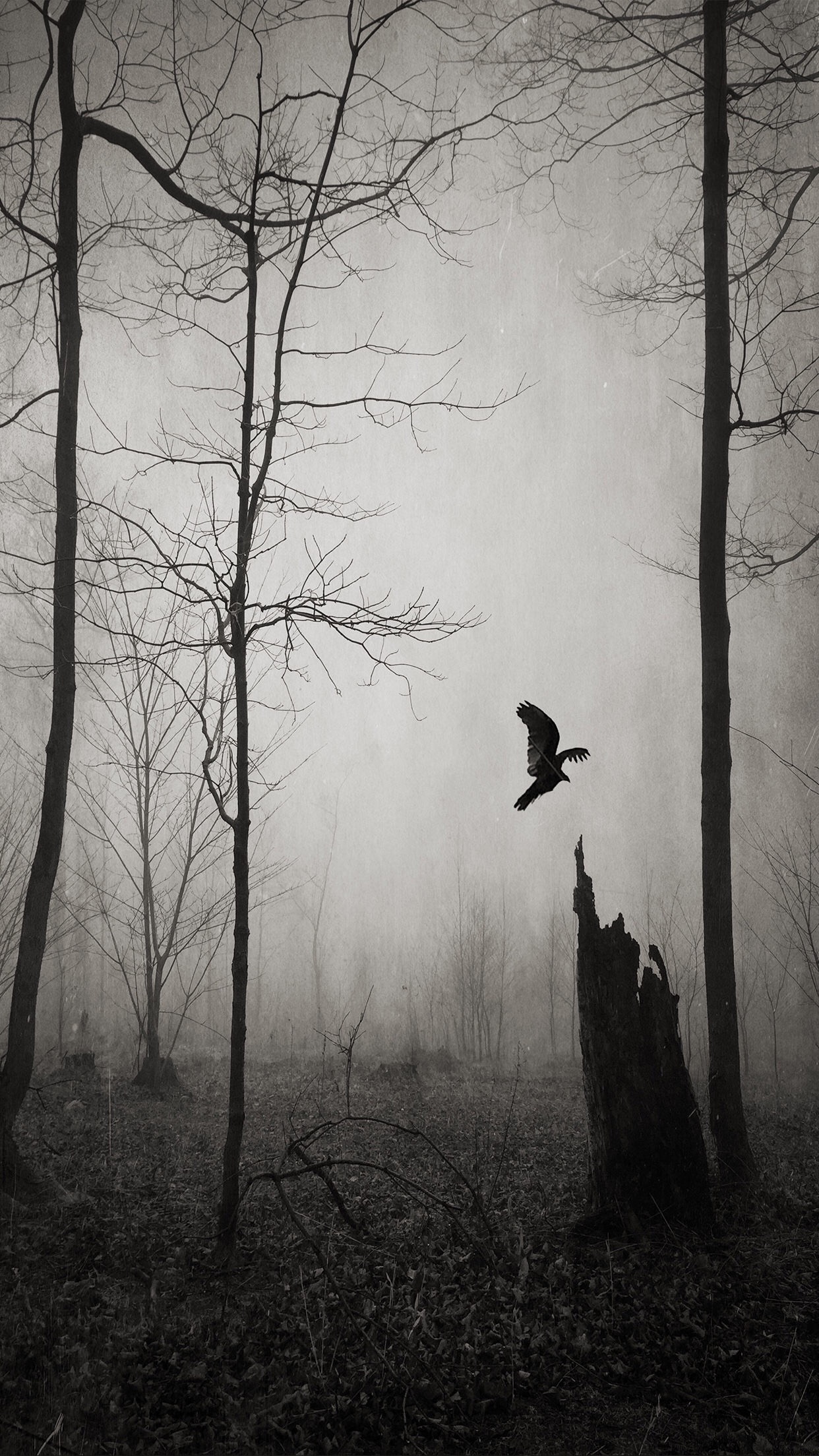 portrait display, Vertical, Landscape Wallpaper