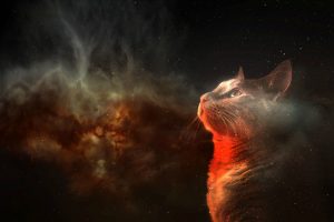 cat, Space, Digital art, Animals