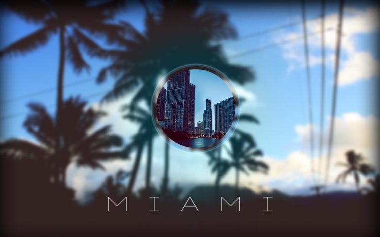 palm trees, Polyscape, Miami HD Wallpaper Desktop Background