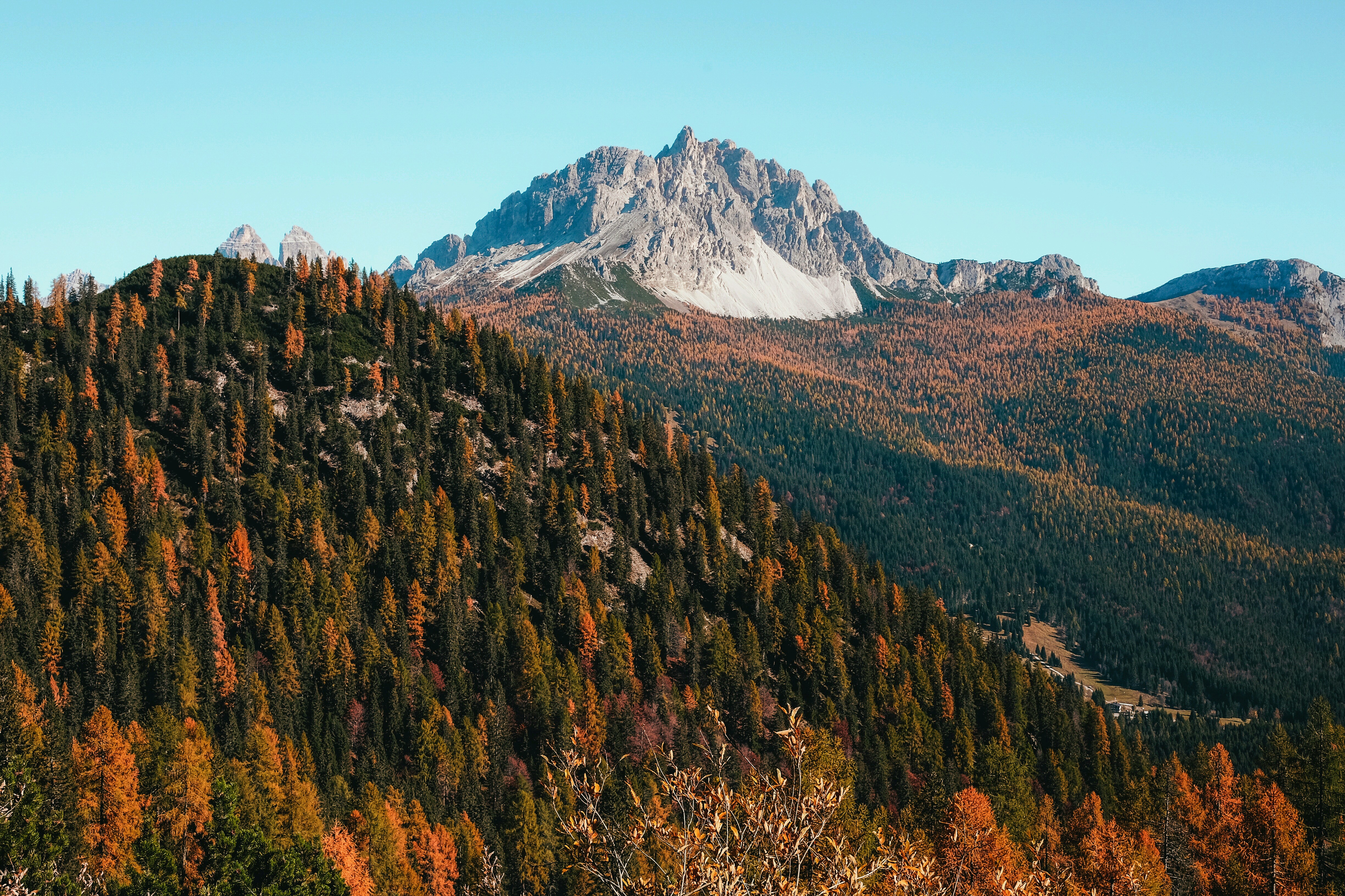 mountains, Forest, Landscape, Fall Wallpaper