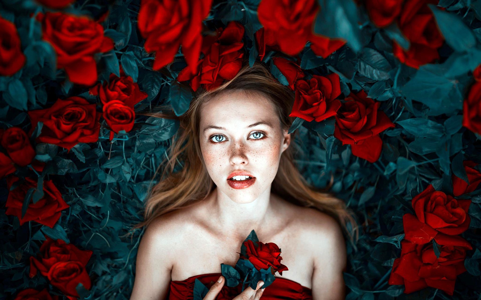 women, Model, Face, Long hair, Ronny Garcia, Rose, Red, Portrait, Red flowers Wallpaper