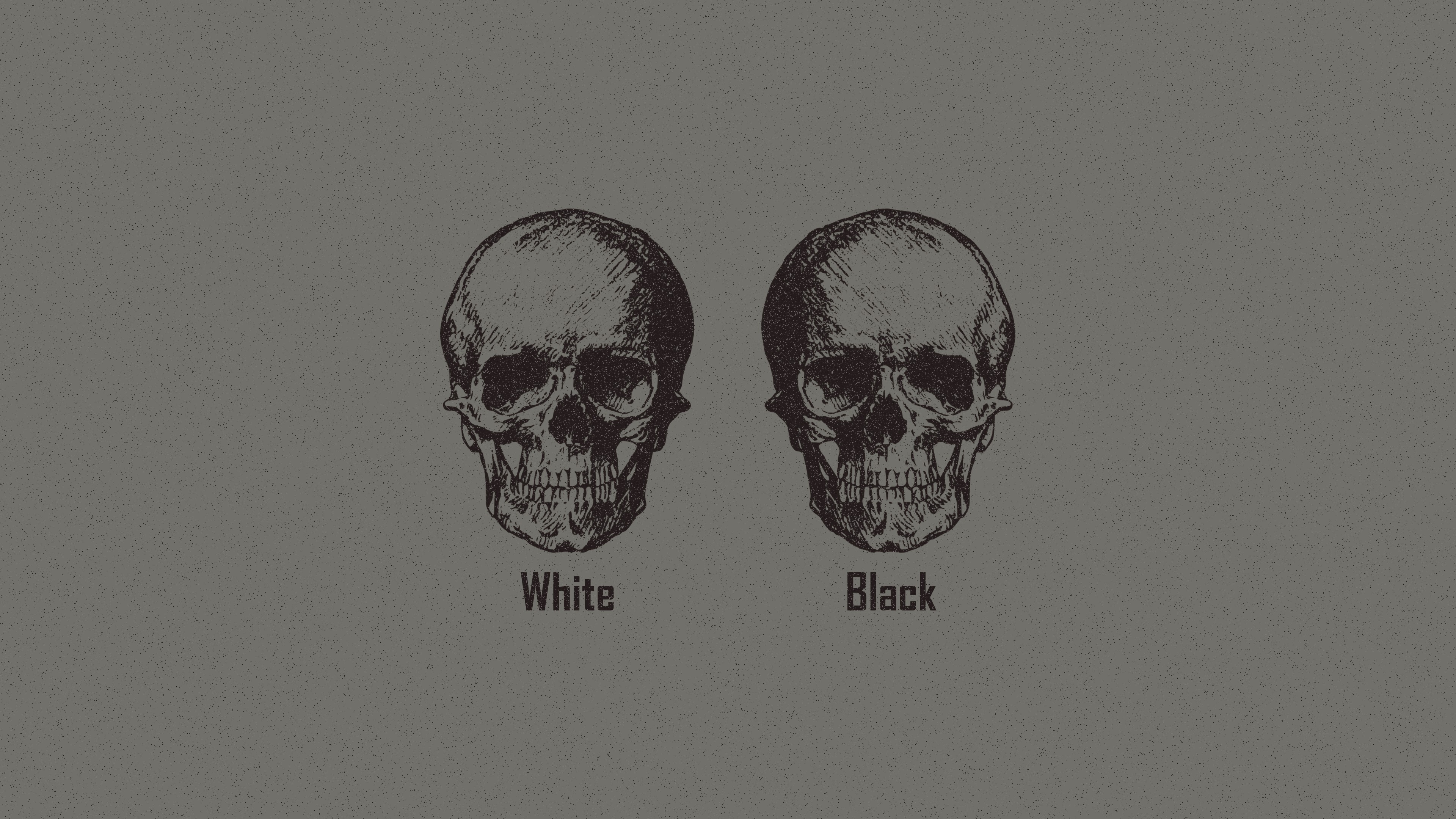Racism, Skull, Monochrome, Minimalism, Logic Wallpaper