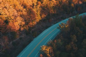 road, Forest, Trees, Fall, Nature