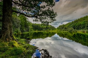 landscape, England, Nature, Lake, Trees