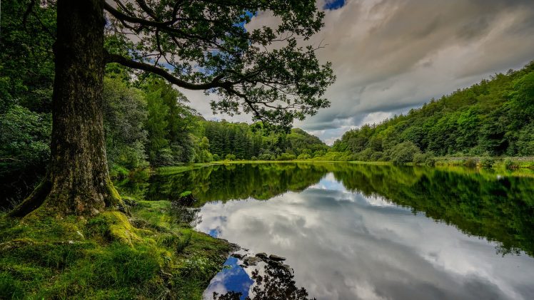 landscape, England, Nature, Lake, Trees HD Wallpaper Desktop Background