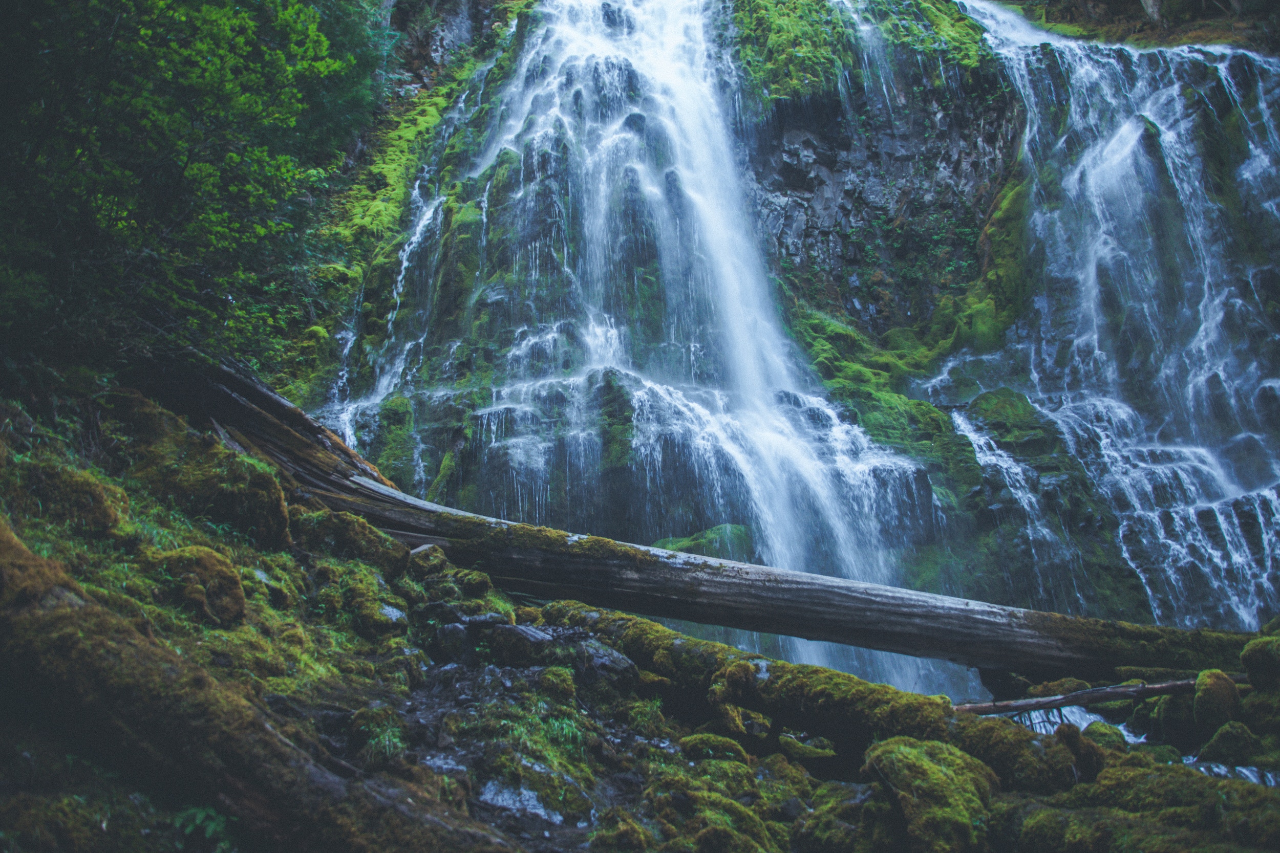 nature, Water, Trees, Waterfall, Green, Moss, Wood Wallpaper