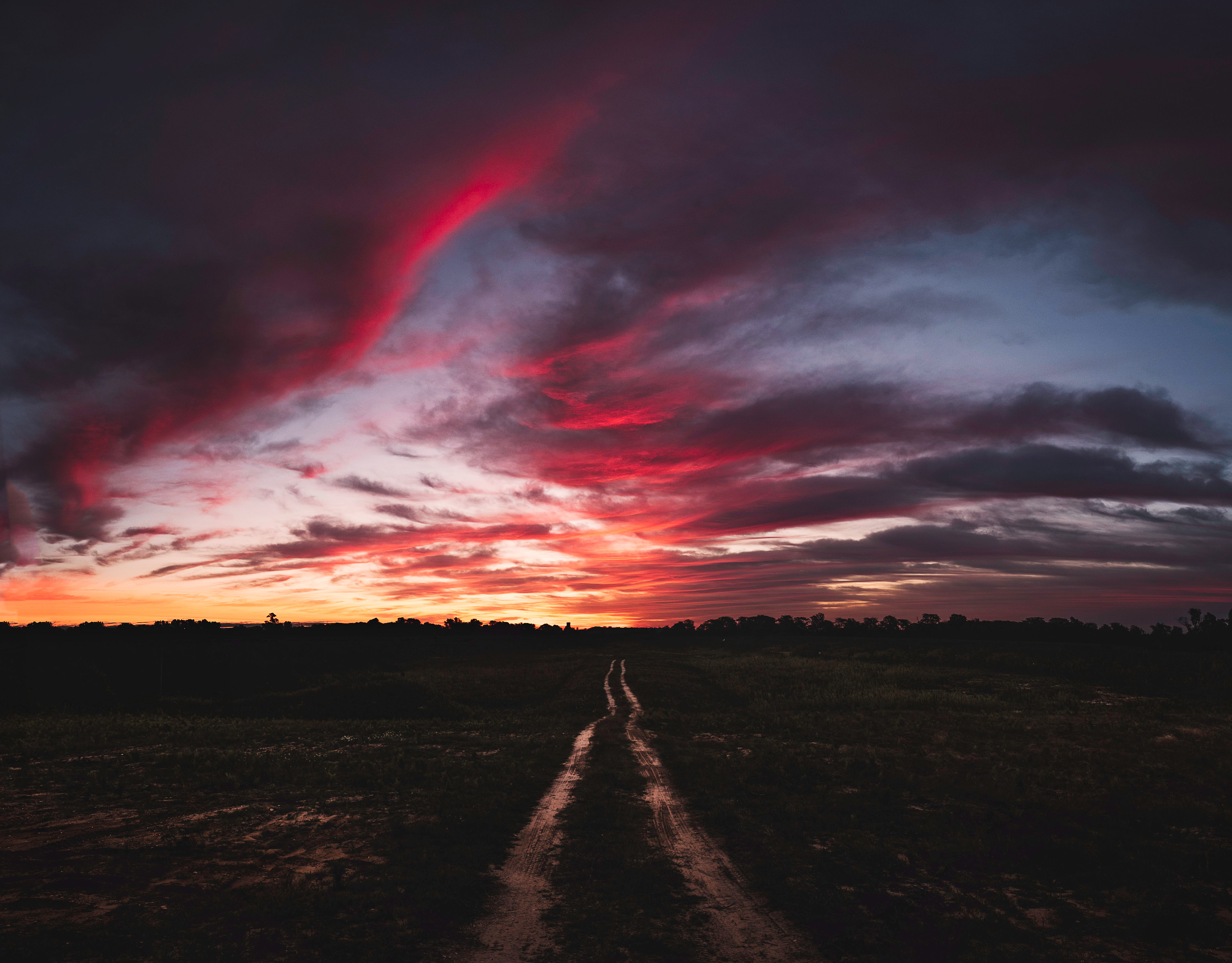 nature, Trees, Road, Sunset Wallpaper