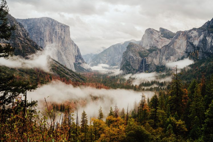 nature, Trees, Yosemite Valley, Yosemite National Park HD Wallpaper Desktop Background