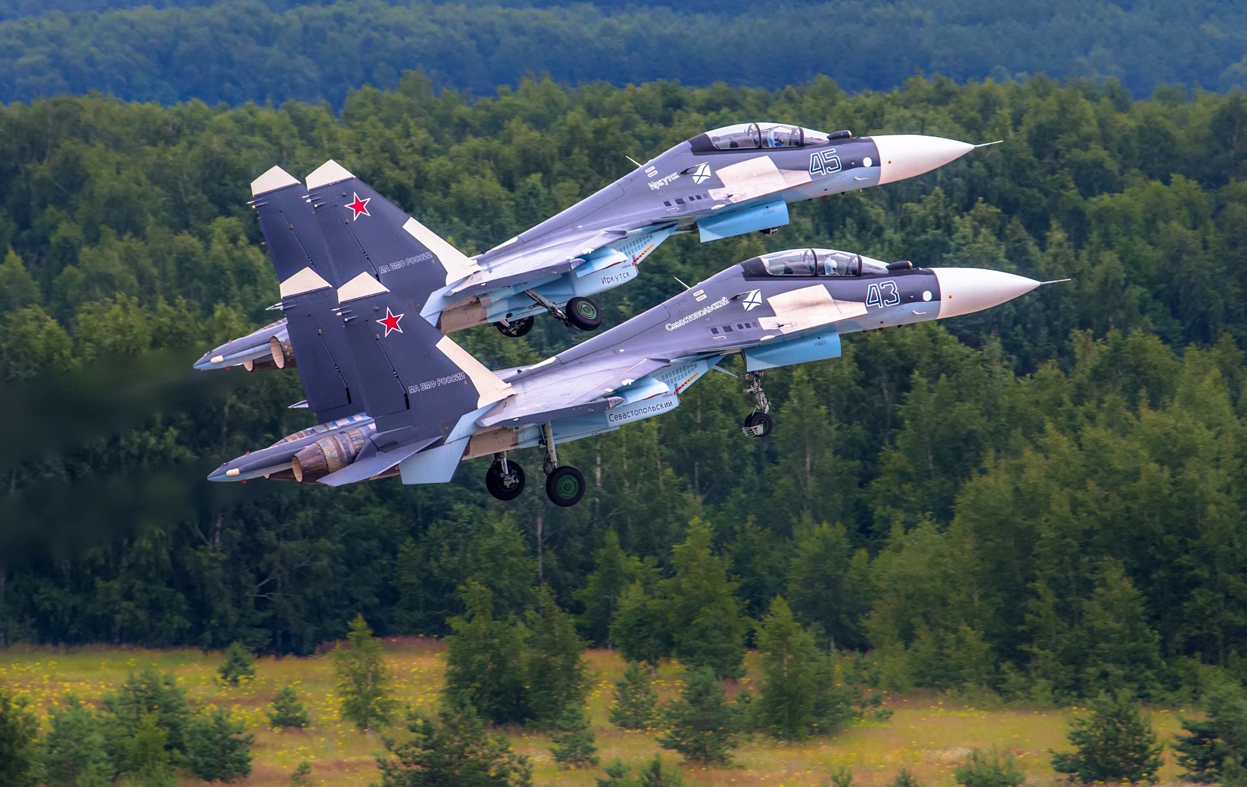 purple, Trees, Aircraft, Military, Military aircraft, Vehicle, Sukhoi Su 30 Wallpaper