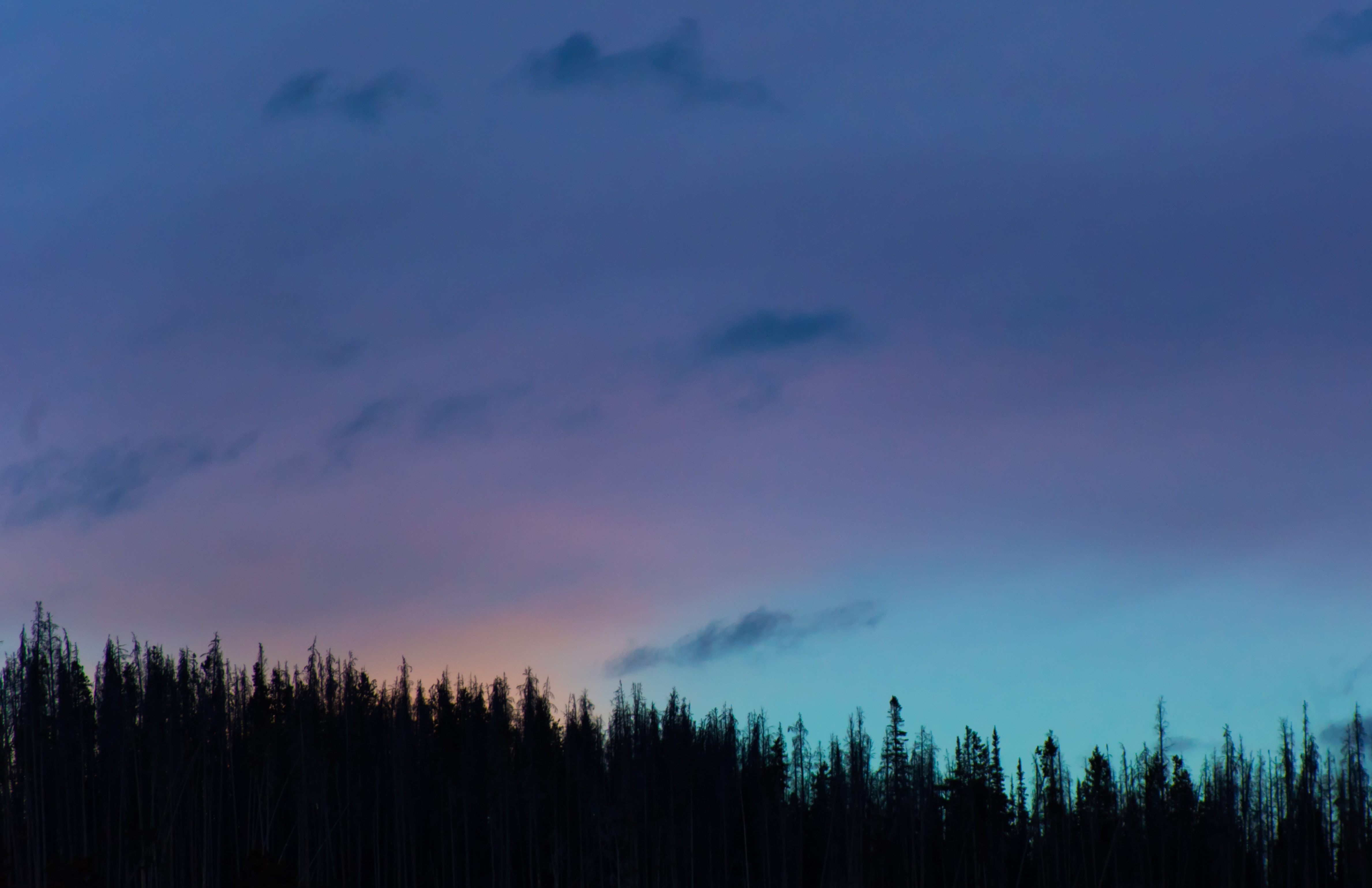nature, Trees, Sky Wallpaper