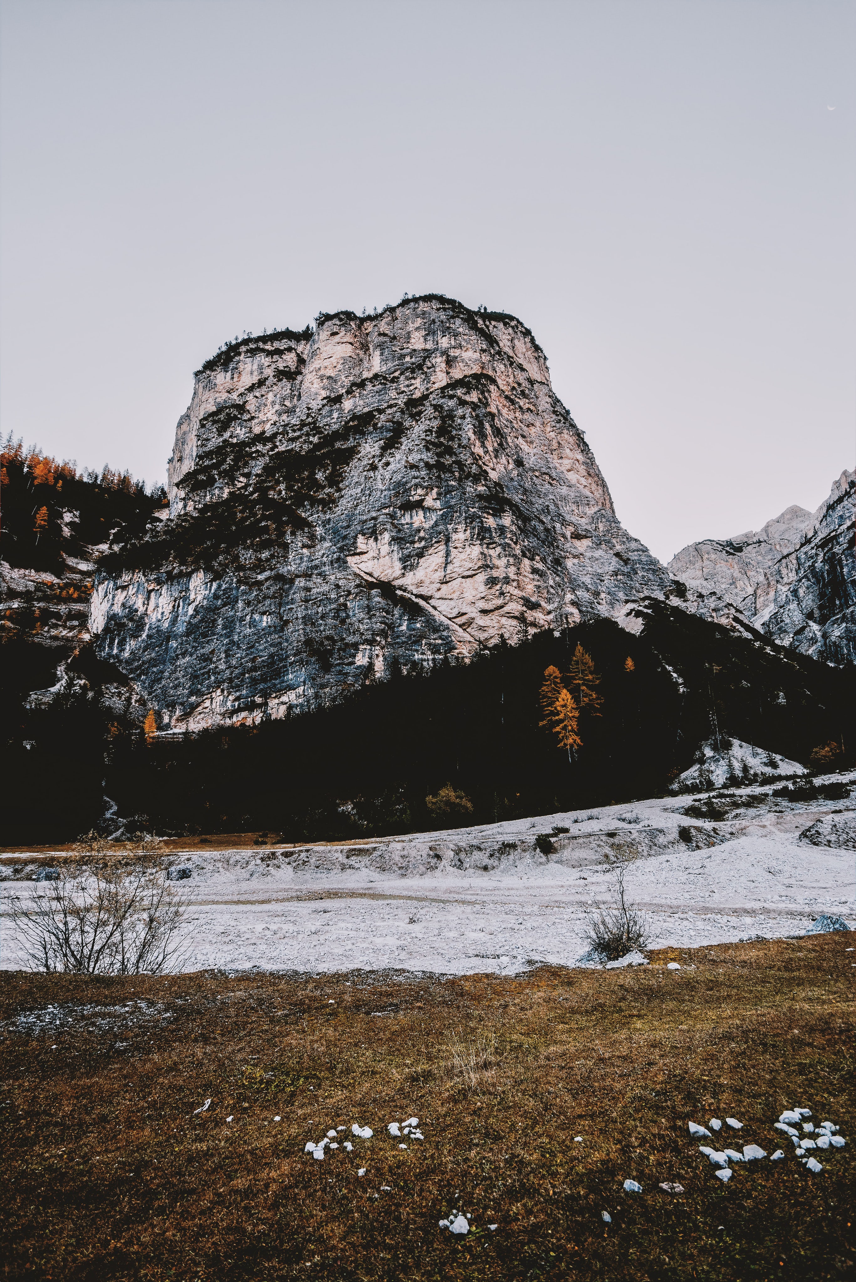 nature, Trees, Snow Wallpaper