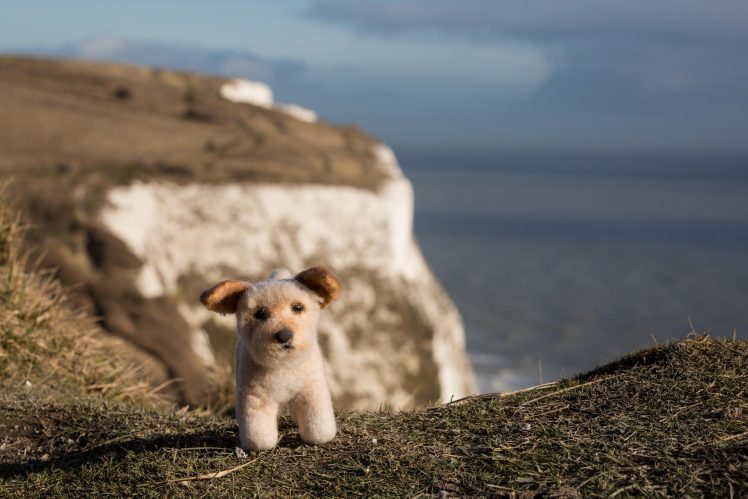 nature, Landscape, Sea, Cliff, Coastline, Cliffs of Dover, England, UK, Depth of field, Closeup, Toys, Dog HD Wallpaper Desktop Background