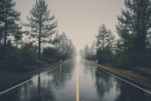 nature, Landscape, Trees, Forest, Road, Mist, Rain, Reflection