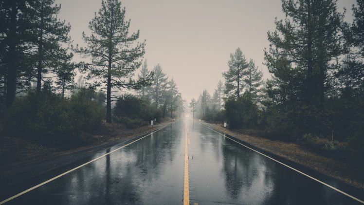 nature, Landscape, Trees, Forest, Road, Mist, Rain, Reflection HD Wallpaper Desktop Background
