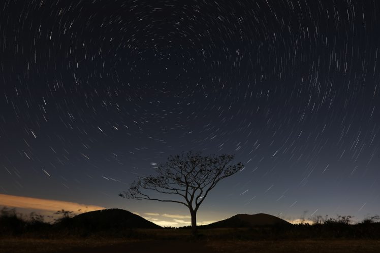 nature, Stars, Trees, Night, Starry night HD Wallpaper Desktop Background