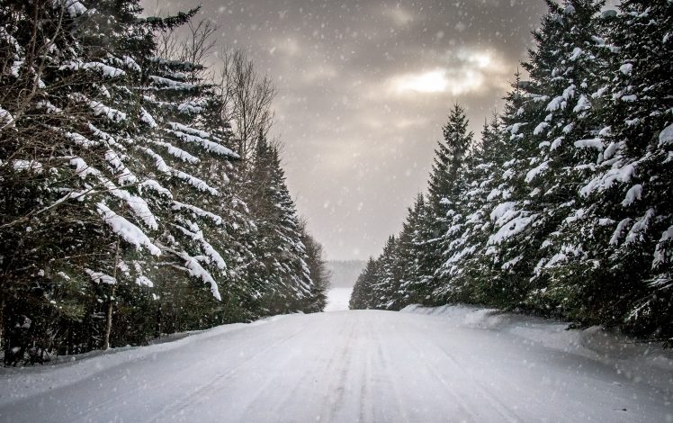 winter, Road, Snow, Trees HD Wallpaper Desktop Background