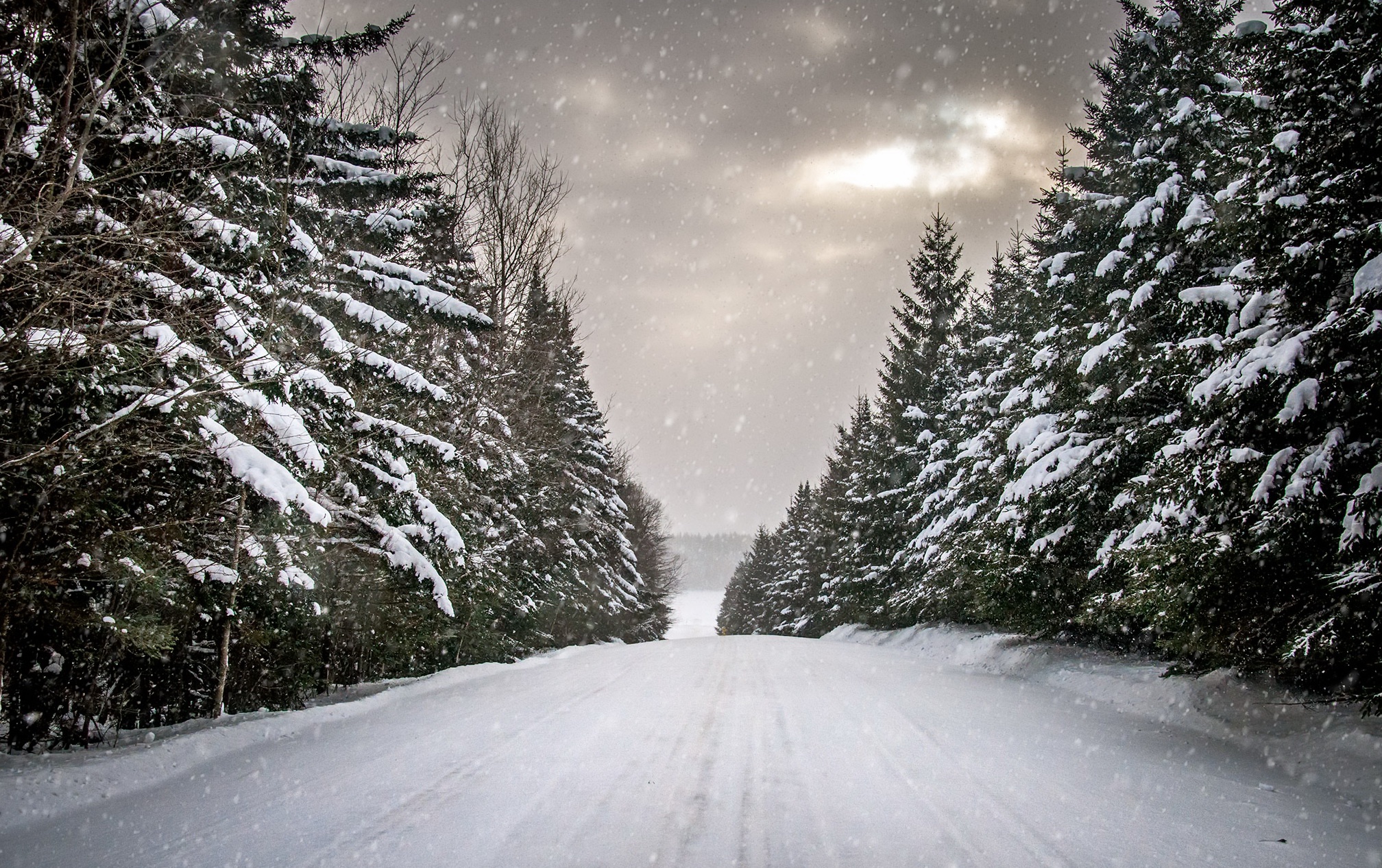 winter, Road, Snow, Trees Wallpaper