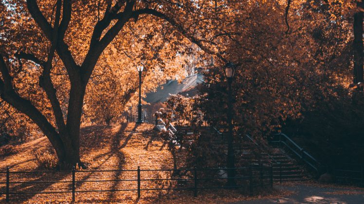 leaves, Fall, October, Stairs, Central Park, New York City, Street light, Trees HD Wallpaper Desktop Background