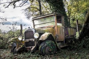 old, Car, Trees, Vehicle, Wreck