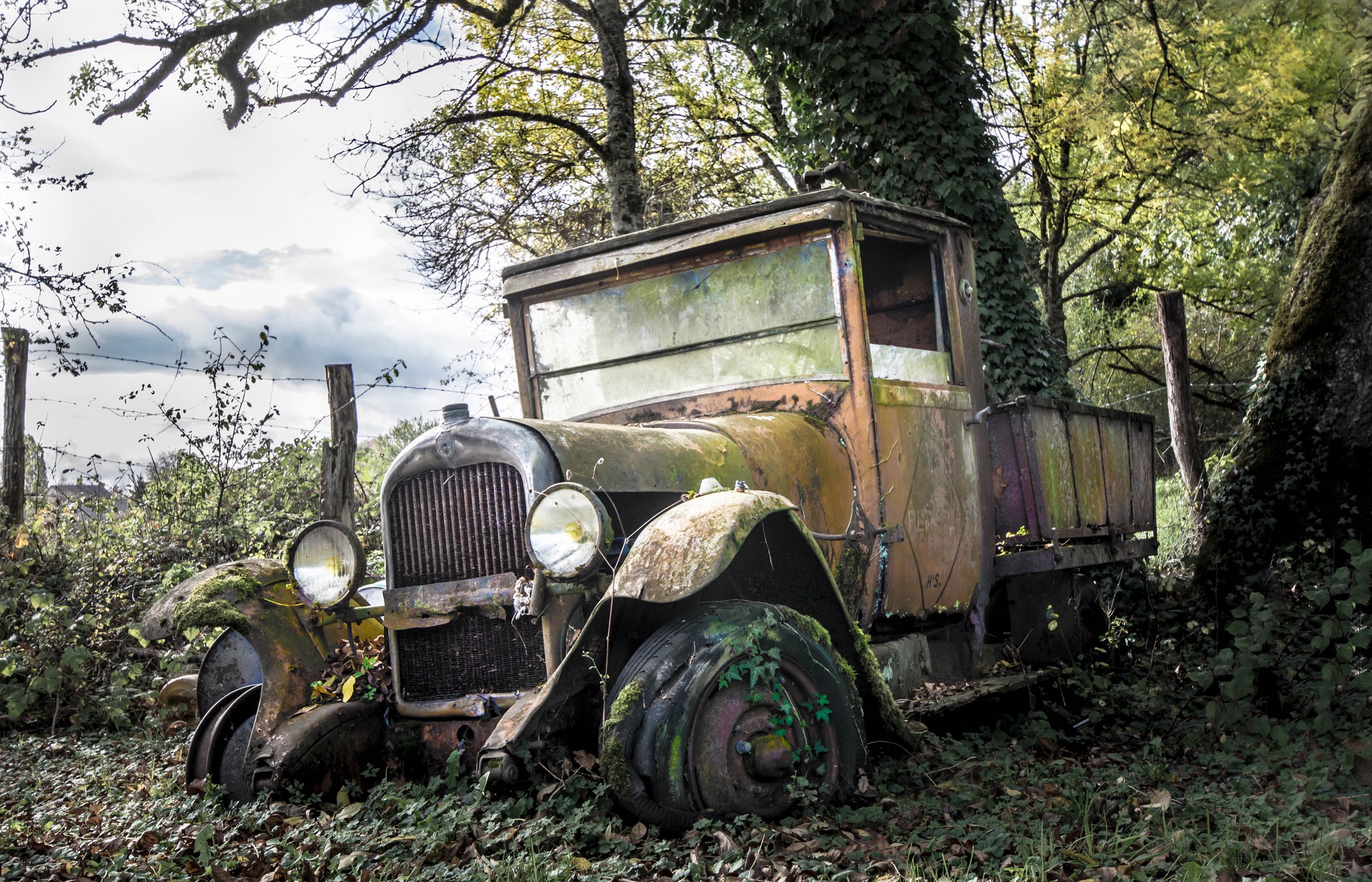 old, Car, Trees, Vehicle, Wreck Wallpaper