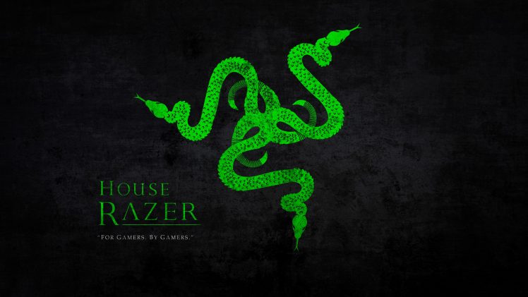gamers, 2K, Razer, Razer Inc., Green, Snake, Logotype, Logo, Typography HD Wallpaper Desktop Background