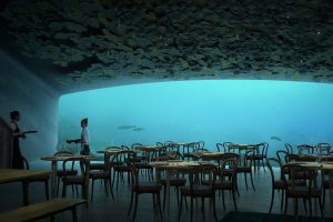 waitress, Women, Transparency, Underwater, Restaurant, Chair, Table, Sea, Fish, Glass, Norway, Dishes