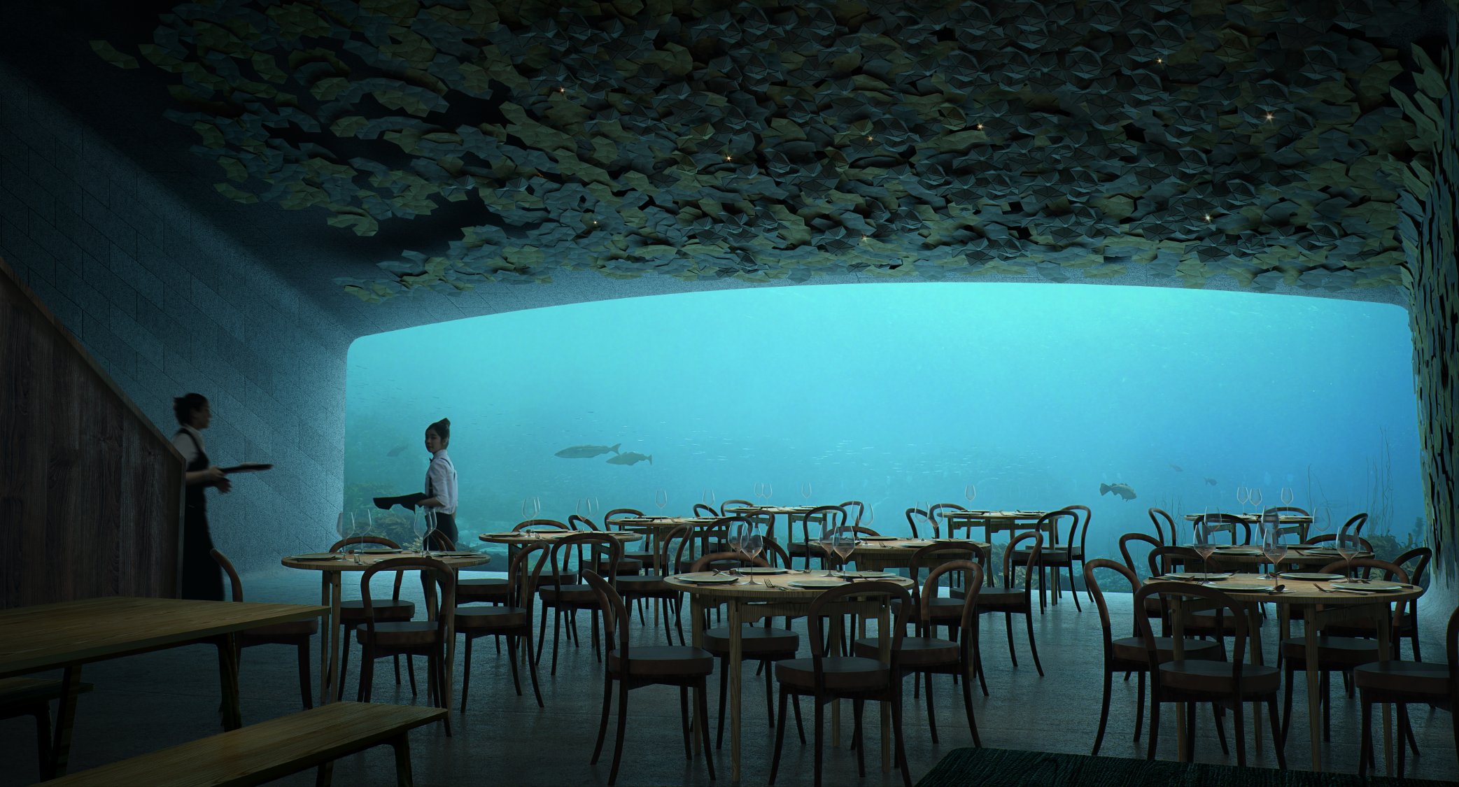 waitress, Women, Transparency, Underwater, Restaurant, Chair, Table, Sea, Fish, Glass, Norway, Dishes Wallpaper