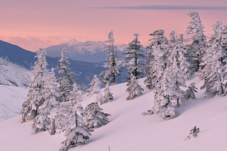 snow, Nature, Landscape, Winter HD Wallpaper Desktop Background