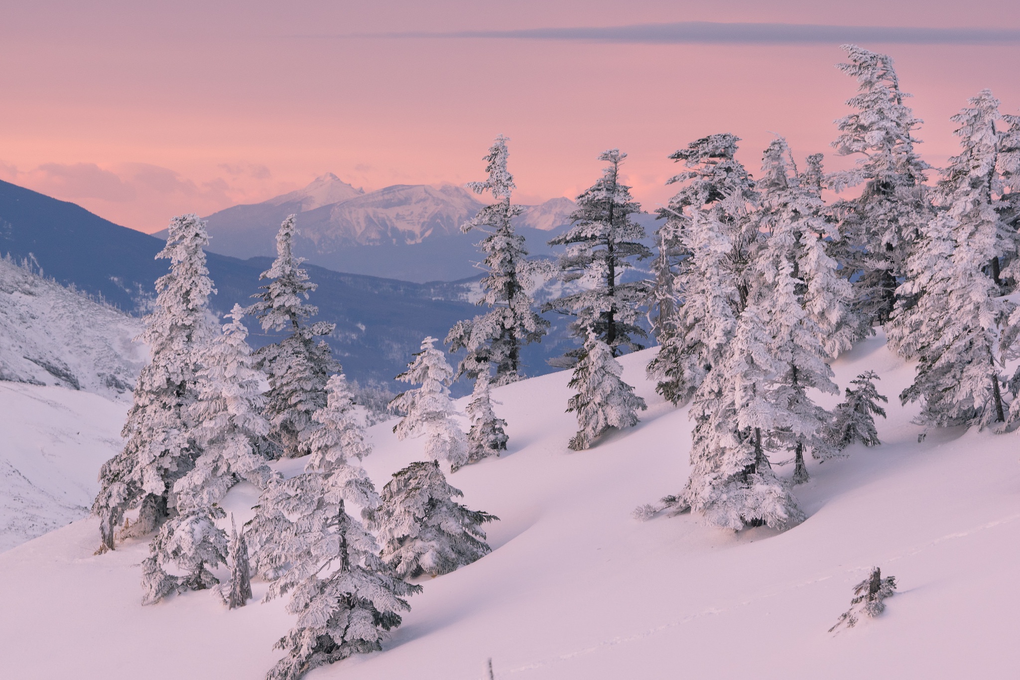 snow, Nature, Landscape, Winter Wallpaper