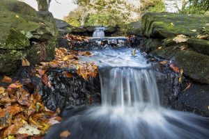 long exposure, Nature, Fall, Water