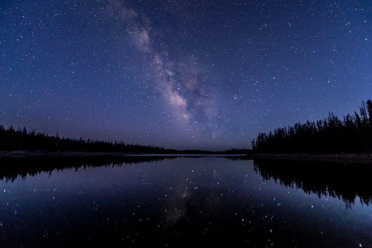 water, Reflection, Starry night, Stars, Forest HD Wallpaper Desktop Background
