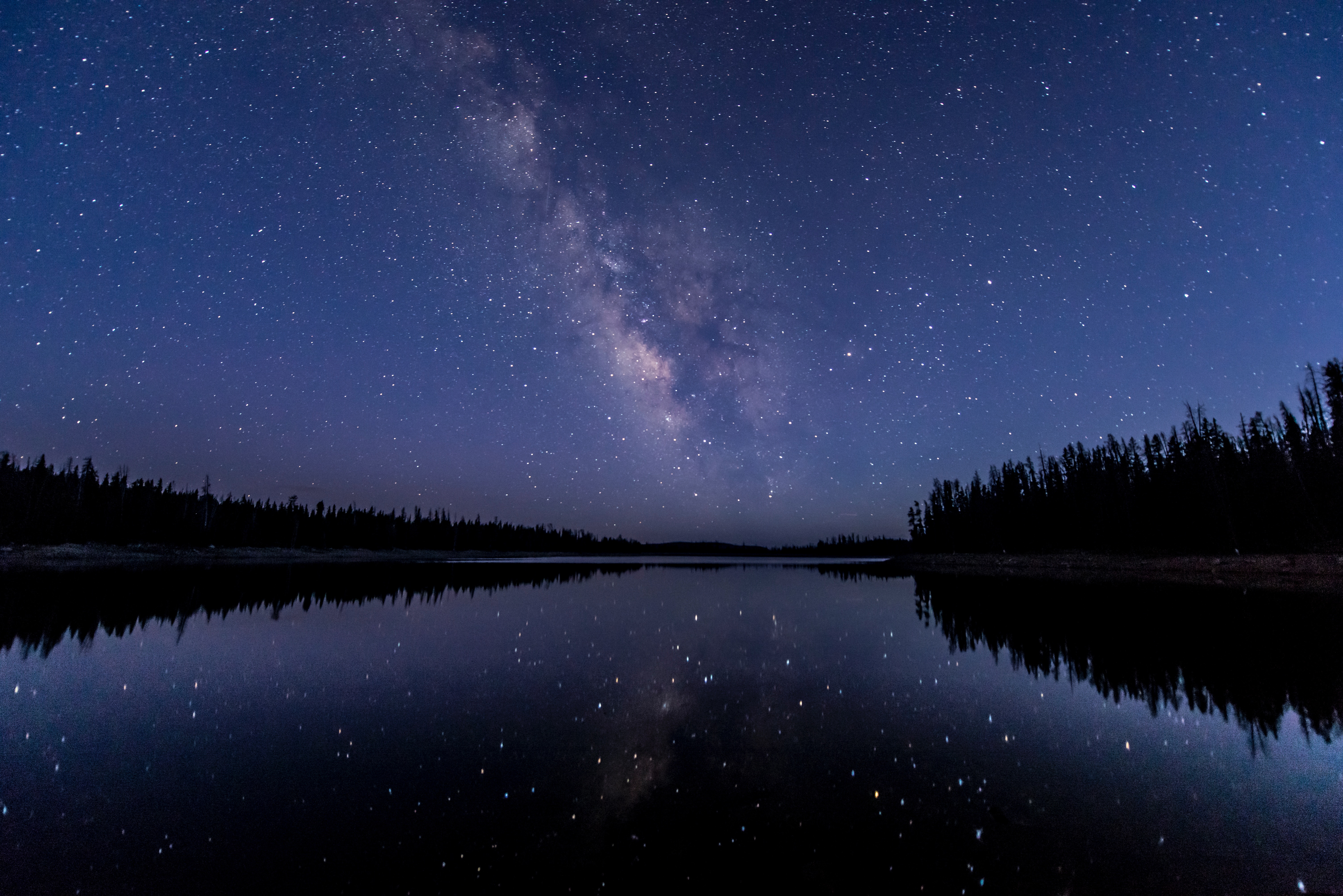 water, Reflection, Starry night, Stars, Forest Wallpaper
