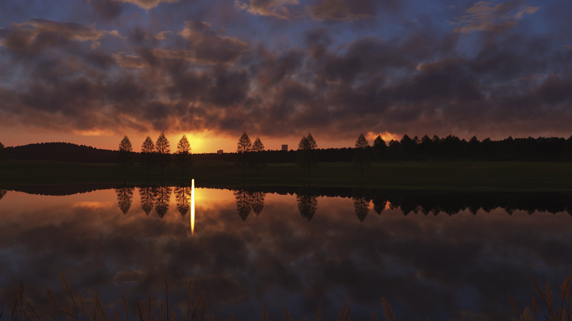 clouds, Sunset, Trees, Water Wallpaper