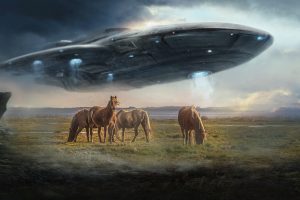 photo manipulation, Spaceship, Horse, Stellaris