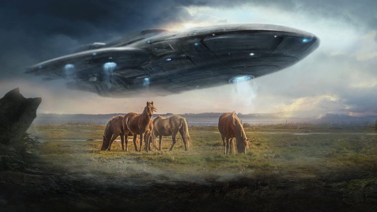 photo manipulation, Spaceship, Horse, Stellaris HD Wallpaper Desktop Background