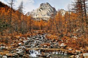 fall, Trees, Nature, Mountains, Landscape