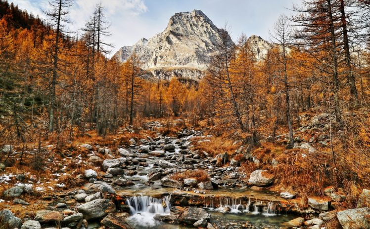 fall, Trees, Nature, Mountains, Landscape HD Wallpaper Desktop Background