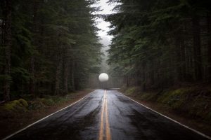 road, Forest, Sphere, Trees