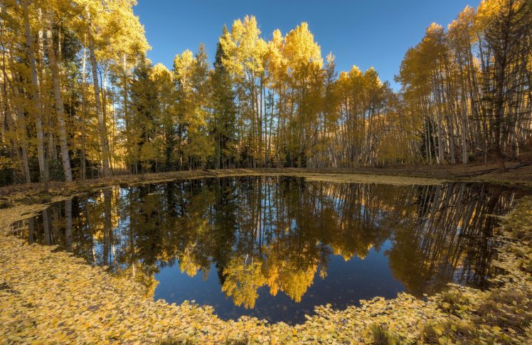nature, Water, Fall, Leaves, Blue, Yellow, Reflection HD Wallpaper Desktop Background