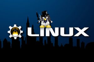 Tux, Linux, Penguins, Logo
