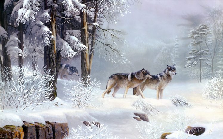 wolf, Landscape, Pine trees, Snow, Winter HD Wallpaper Desktop Background