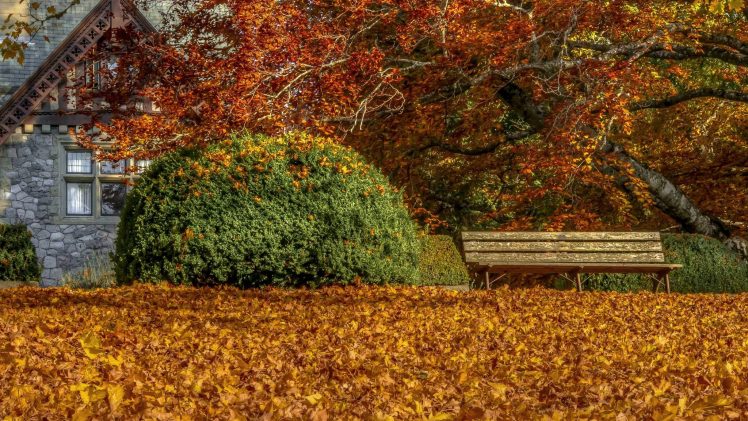 fall, Leaves, Bench HD Wallpaper Desktop Background
