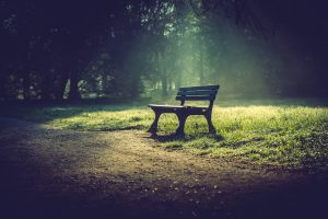 bench, Nature, Green